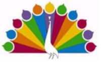 NBC's 1950s "peacock" logo.