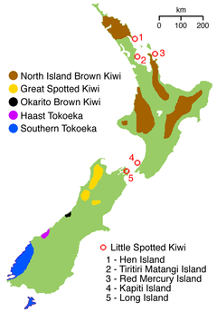 The distribution of each species of kiwi