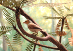 Model of the small bird Liaoningornis longidigitus, inhabitant of the Early Cretaceous conifer and ginkgo forests of today's China.