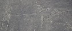 Hummingbird image at Nazca