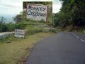 Sign board at a road passing through a forest. The road cuts through a habitat of monkeys