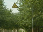 Bends sign in China.