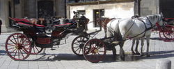 In Vienna,     landaus called fiacres because they can be rented, carry tourists around the old city.