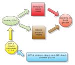 GLP-1 and DPP-4 inhibitors