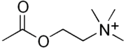 Acetylcholine