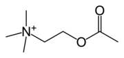 Acetylcholine