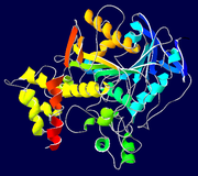 Acetylcholinesterase