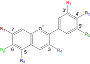 Anthocyanin ground structure: the flavylium cation