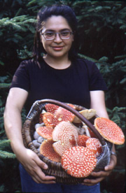 A basket of A. muscaria