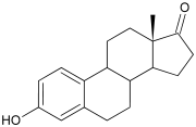 Estrone. Note the ketone (=O) group attached to the D ring. 