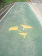 Ginkgo leaves painted on an asphalt walkway to guide tourists to a ginkgo forest in Dongducheon, South Korea.