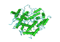 The 3D structure of human IFN-γ