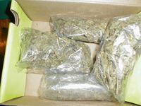 Four bags of cannabis