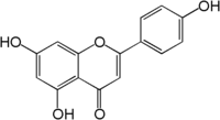 Molecular structure of apigenin, a polyphenol antioxidant