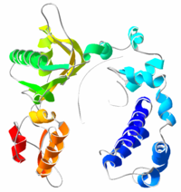 3D structure of the DNA-binding helix-hairpin-helix motifs in human DNA polymerase beta