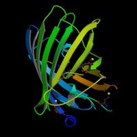 GFP ribbon diagram from PDB database