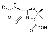 Penicillin nucleus