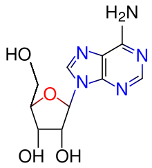 Adenosine chemical structure