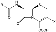 Cephalosporin nucleus