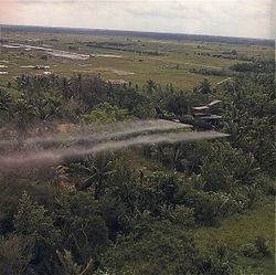 Vietnam. Defoliation Mission. A UH-1D helicopter from the  336th Aviation Company sprays a defoliation agent on a dense jungle area in the Mekong delta., July 26, 1969