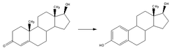 Conversion of testosterone to estradiol