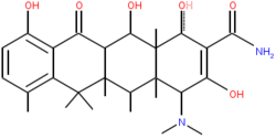 The 4 rings of the basic tetracycline structure.