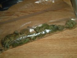 Cannabis flowers, or buds, in a plastic bag.