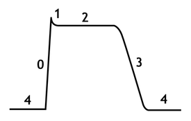 The cardiac action potential