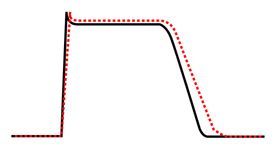 Effect of class III antiarrhythmic agent on cardiac action potential.