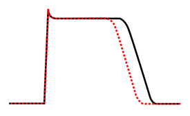 Effect of class Ib antiarrhythmic agents on the cardiac action potential.