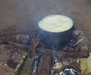 Ayahuasca cooking in the Napo region of Ecuador.