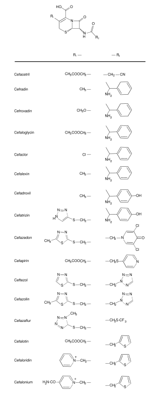 Structure of the classical cephalosporins