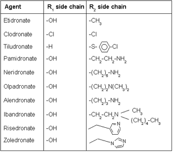 side chains of bisphosphonate molecules