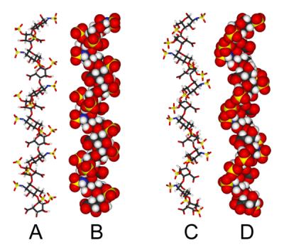 Two different structures of heparin