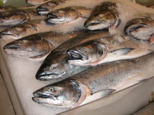 Salmon for sale at a fish market.