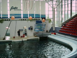 The Festa Dolphinarium in Varna, Bulgaria