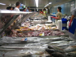 Retail fish market: Chinatown, Sydney.