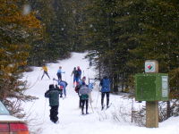 Recreational skiing in Kananaskis Country, Alberta.