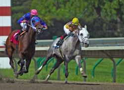 Monmouth Racetrack in New Jersey in May 2005.