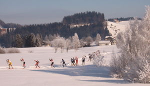 Cross-country skiing (skating style) in Einsiedeln, Switzerland.