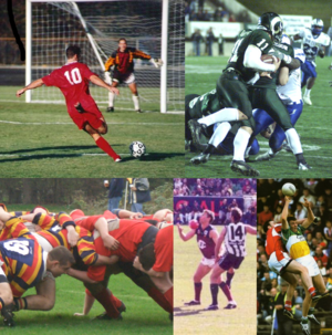 Some of the many different codes of football.