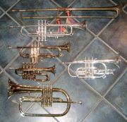 High brass - from the top left: Baroque trumpet in D, modern trumpets in Bb and D (same pitch D as Baroque), piccolo trumpet in high Bb, Flugelhorn in Bb; right: cornet in Bb.