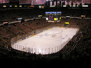 Joe Louis Arena is home to the Detroit Red Wings hockey team.