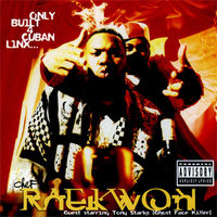 Raekwons Only Built 4 Cuban Linx is credited with popularizing Mafia and gangster movie motifs in Mafioso Rap