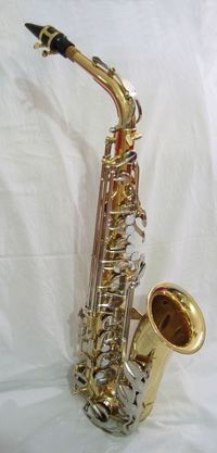 Saxophones of different sizes play in different registers. This is an alto saxophone in E flat.