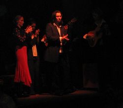 Flamenco performance by the La Primavera group