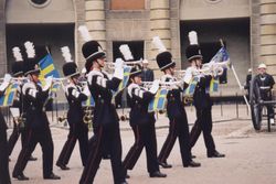 Military Band marching