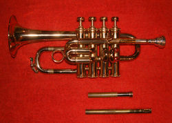 Piccolo trumpet in Bb;, with swappable leadpipes to tune the instrument to B♭ (shorter) or A (longer)