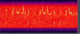 Humpback Whale song spectrogram, Play audio (OGG format, 57 kB)