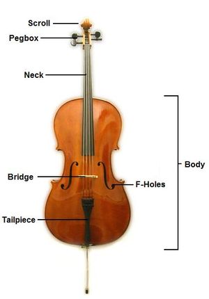 The construction of a cello